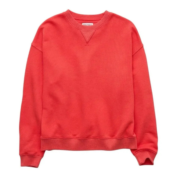 American Eagle Outfitters Tops - AMERICAN EAGLE “This Feels Seriously Lived In” relaxed crewneck sweatshirt sz XL